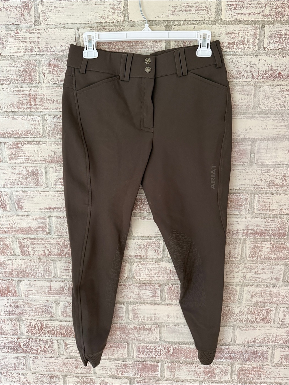 Ariat Women's Dark Brown Riding Breeches